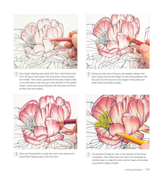 In Bloom: A Step-by-Step Guide to Drawing Lush Florals - An Easy How-to-Draw Flowers Book for Beginners
