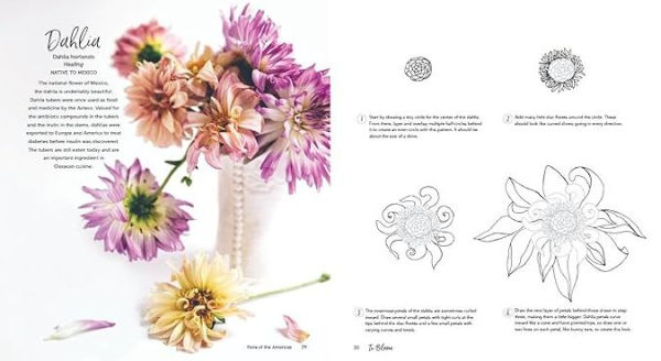 In Bloom: A Step-by-Step Guide to Drawing Lush Florals - An Easy How-to-Draw Flowers Book for Beginners