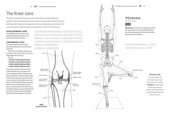 Yoga Anatomy Coloring Book: A Visual Guide to Form, Function, and Movement