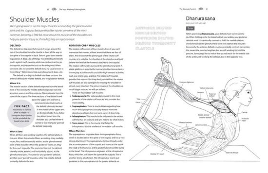 The Yoga Anatomy Coloring Book: A Visual Guide to Form, Function, and