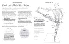 Alternative view 6 of Yoga Anatomy Coloring Book: A Visual Guide to Form, Function, and Movement