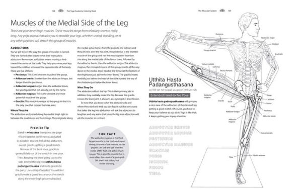 Yoga Anatomy Coloring Book: A Visual Guide to Form, Function, and Movement