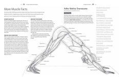 Alternative view 7 of Yoga Anatomy Coloring Book: A Visual Guide to Form, Function, and Movement