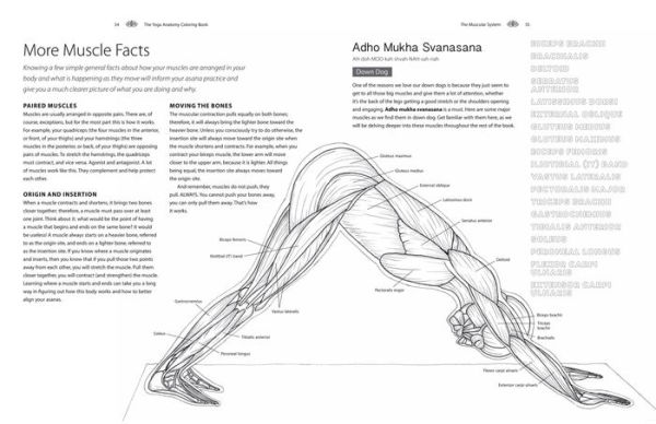 The Yoga Anatomy Coloring Book: A Visual Guide to Form, Function, and Movement