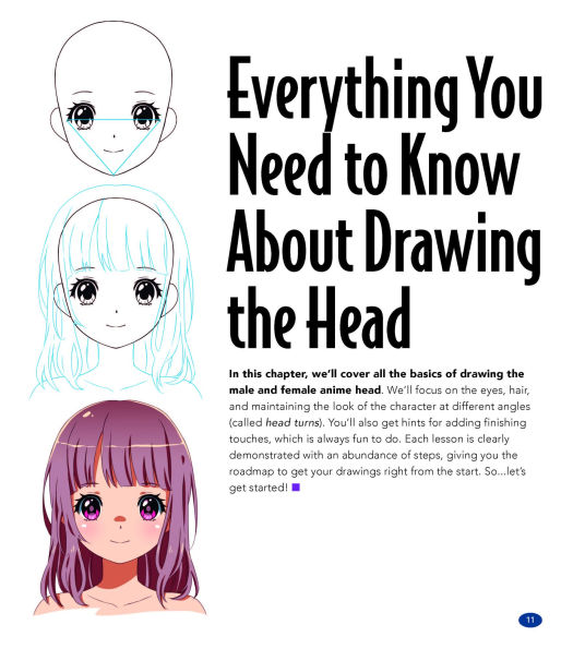 Master Guide to Drawing Anime: Tips & Tricks: Over 100 Essential Techniques to Sharpen Your Skills - A How to Draw Anime / Manga Step by Step Book Series