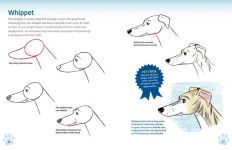 Alternative view 3 of How to Draw Dogs & Cats from Simple Templates: The Drawing Book for Pet Lovers
