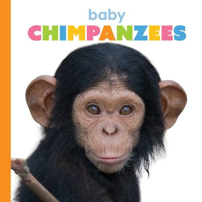 Baby Chimpanzees