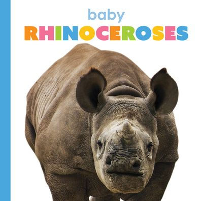 Baby Rhinoceroses