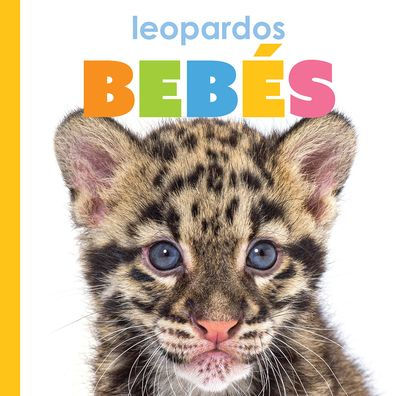 Leopardos Bebï¿½s