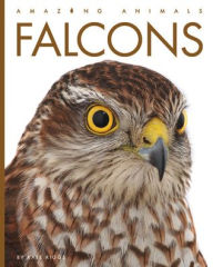 Title: Falcons, Author: Kate Riggs