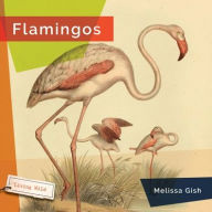 Title: Flamingos, Author: Melissa Gish