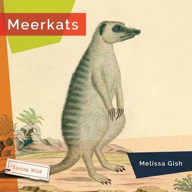 Meerkats