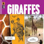 Giraffes