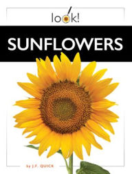 Title: Sunflowers, Author: J F Quick