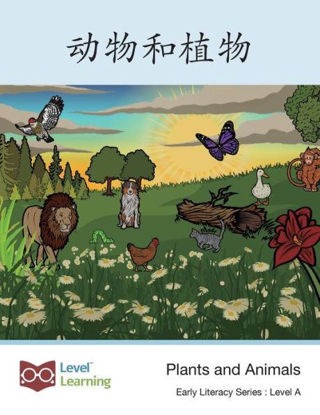 动物和植物: Plants and Animals