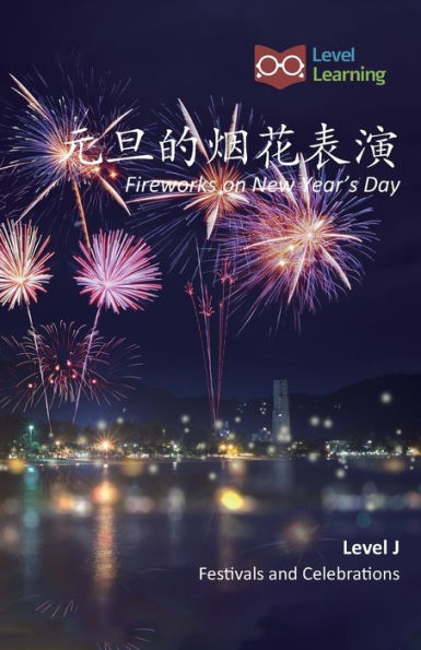 元旦的烟花表演: Fireworks on New Year's Day