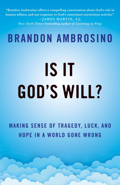 Is It God's Will?: Making Sense of Tragedy, Luck, and Hope a World Gone Wrong