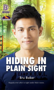 Title: Hiding In Plain Sight, Author: Bru Baker