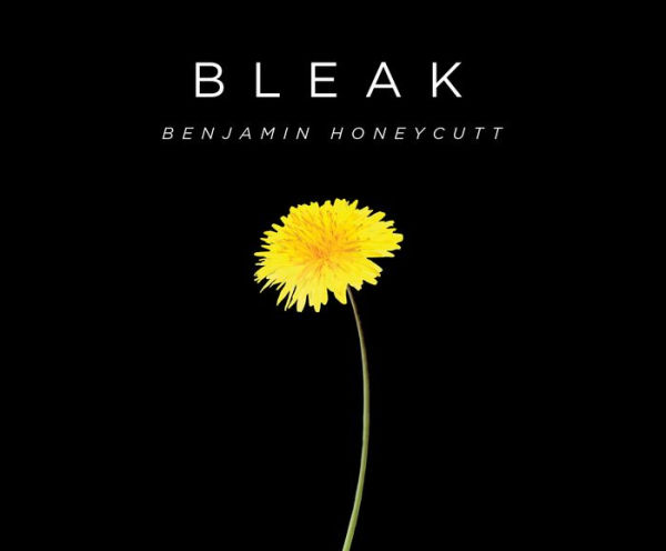 Bleak: A Story of Bullying, Rage, and Survival
