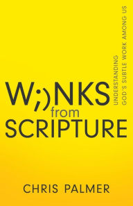 Title: Winks from Scripture: Understanding God's Subtle Work Among Us, Author: Chris Palmer