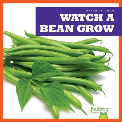 Watch a Bean Grow