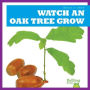 Watch an Oak Tree Grow