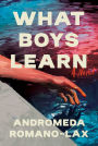 What Boys Learn