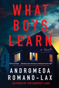 Title: What Boys Learn, Author: Andromeda Romano-Lax