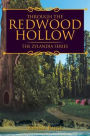 Through the Redwood Hollow