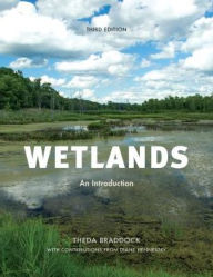 Title: Wetlands: An Introduction, Author: Theda Braddock