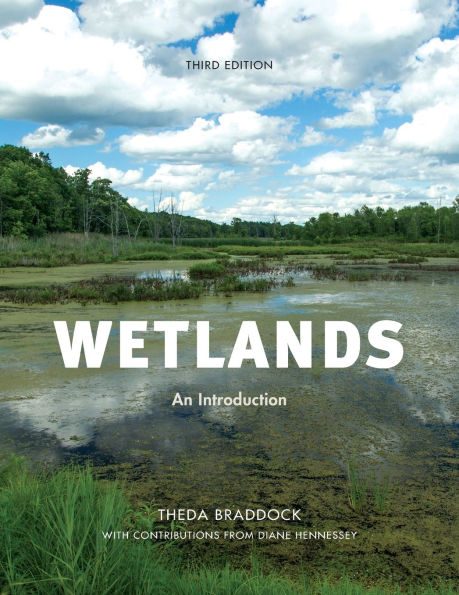 Wetlands: An Introduction