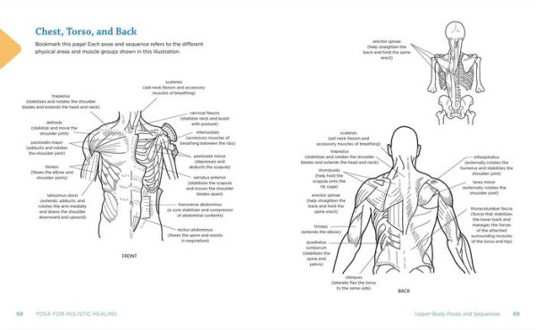 Yoga for Holistic Healing: Poses & Sequences Pain and Stress Relief