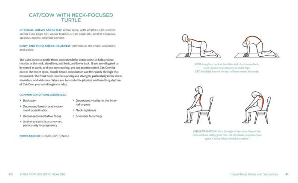 Yoga for Holistic Healing: Poses & Sequences Pain and Stress Relief