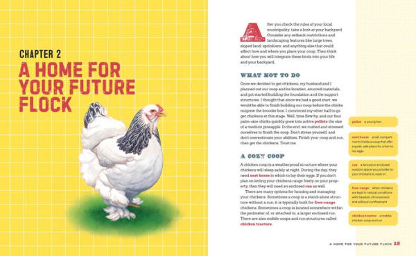 The Beginner's Guide to Raising Chickens: How to Raise a Happy Backyard Flock