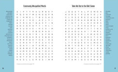 Alternative view 2 of Challenge Accepted!: 100 Word Searches