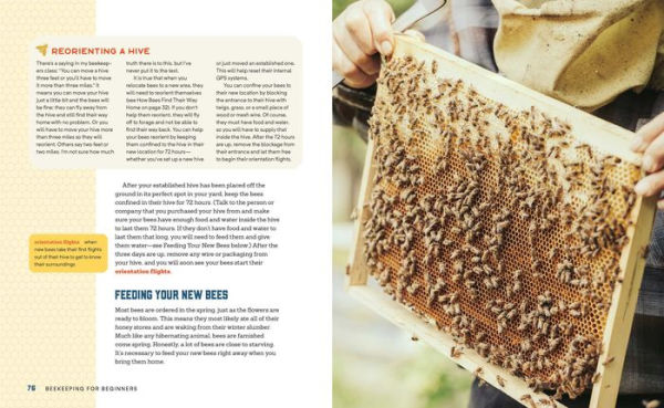 Beekeeping for Beginners: How To Raise Your First Bee Colonies