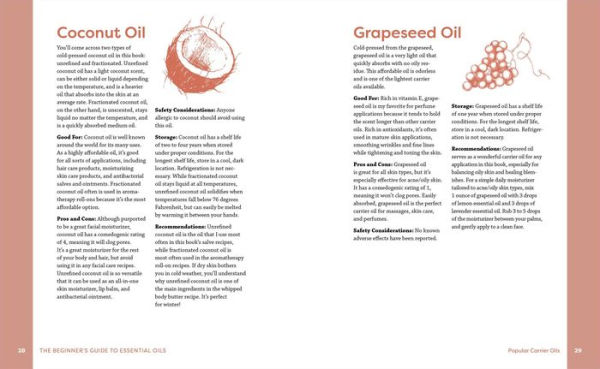 The Beginner's Guide to Essential Oils: Everything You Need to Know to Get Started