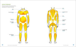 Alternative view 4 of Stretching for Beginners: Improve Flexibility and Relieve Aches and Pains with 100 Exercises and 25 Simple Routines
