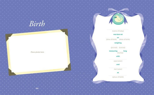 From Belly to Baby: A Journal for Pregnancy and Baby's First Year