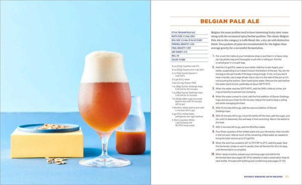 Beer Brewing 101: A Beginner's Guide to Homebrewing for Craft Lovers