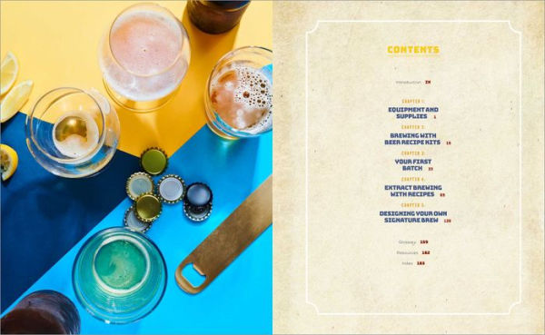 Beer Brewing 101: A Beginner's Guide to Homebrewing for Craft Lovers