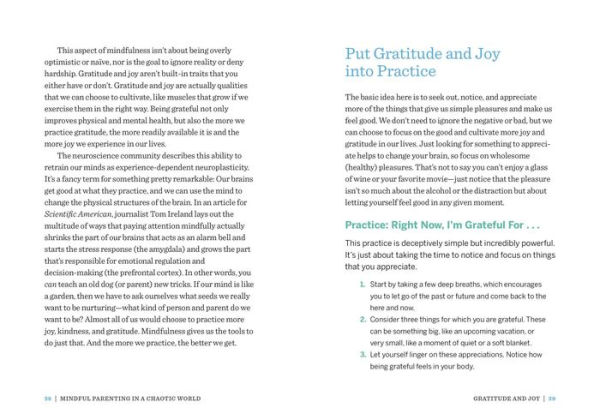 Mindful Parenting a Chaotic World: Effective Strategies To Stay Centered At Home and On the Go