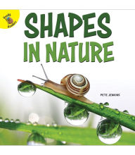 Title: Shapes in Nature, Author: Jenkins