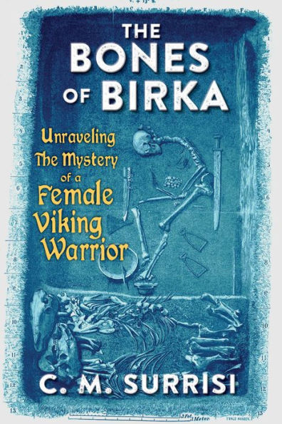 The Bones of Birka: Unraveling the Mystery of a Female Viking Warrior