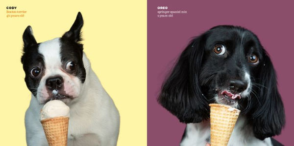 Dogs vs. Ice Cream