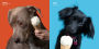 Alternative view 6 of Dogs vs. Ice Cream