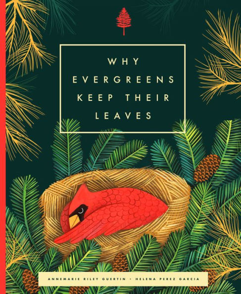 Why Evergreens Keep Their Leaves