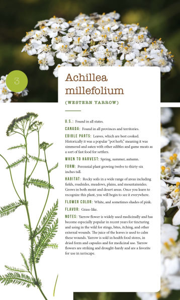 276 Edible Wild Plants of the United States and Canada: Berries, Roots, Nuts, Greens, Flowers, Seeds All or Majority US Canada
