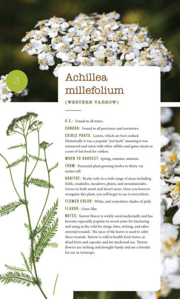 276 Edible Wild Plants of the United States and Canada: Berries, Roots, Nuts, Greens, Flowers, Seeds All or Majority US Canada