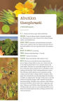 Alternative view 4 of 276 Edible Wild Plants of the United States and Canada: Berries, Roots, Nuts, Greens, Flowers, and Seeds in All or the Majority of the US and Canada